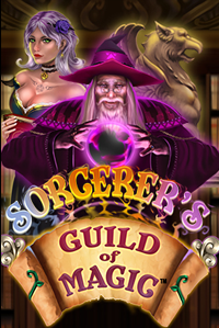 Sorcerer's Guild of Magic